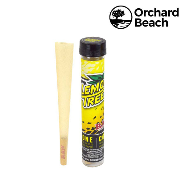 RAW x ORCHARD BEACH Terpene Infused Cone