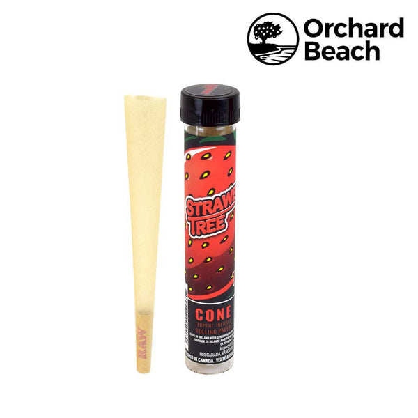 RAW x ORCHARD BEACH Terpene Infused Cone