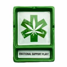 Emotional Support Plant Ash Tray